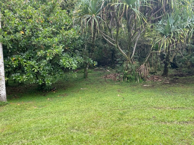 14-4792 Sadileck Road Pahoa, HI 96778 - Photo 25 of 30 a backyard of a house with lots of green space