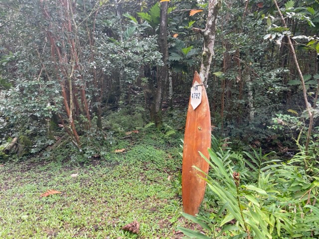 14-4792 Sadileck Road Pahoa, HI 96778 - Photo 27 of 30 a view of a yard with large trees