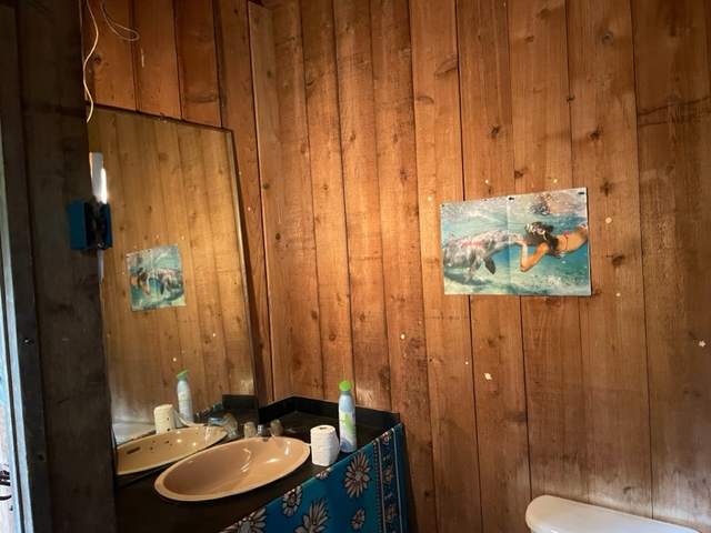 14-4792 Sadileck Road Pahoa, HI 96778 - Photo 8 of 30 a bathroom with a sink and a mirror