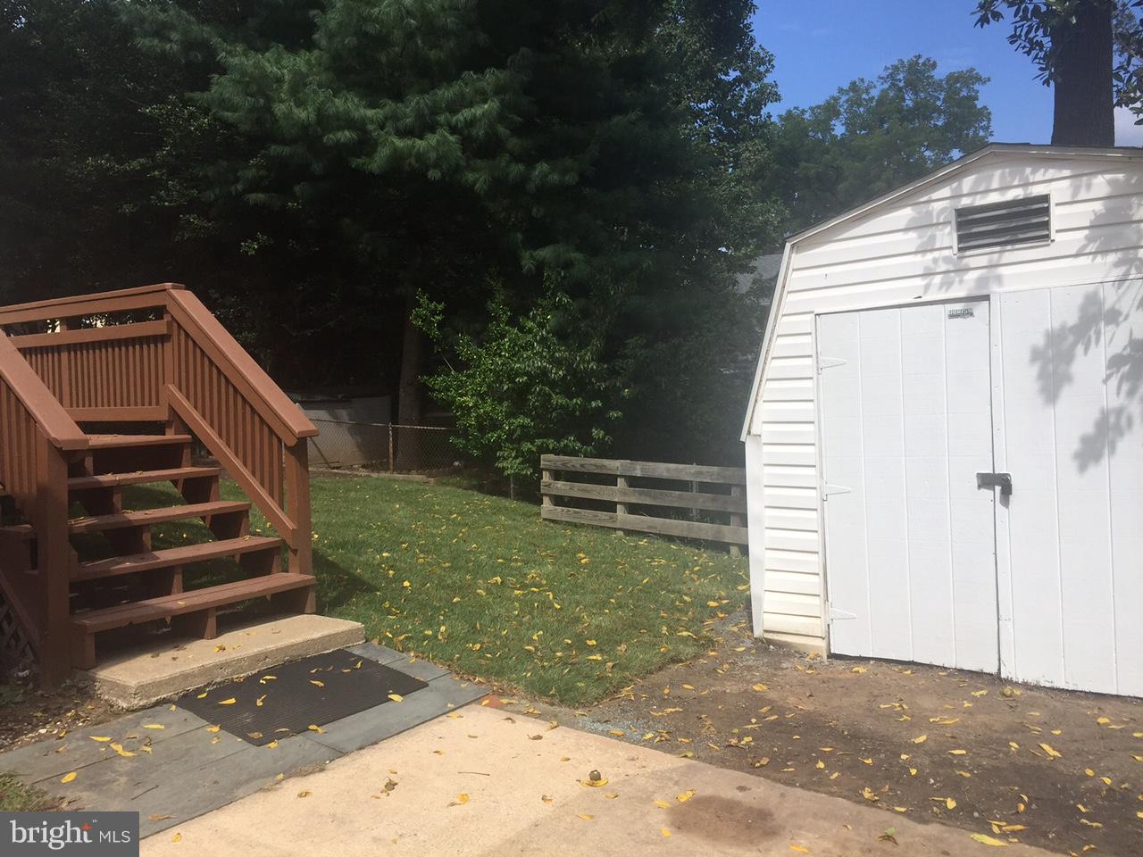 3409 Anderson Road Kensington, MD 20895 - Photo 6 of 29 Storage Shed