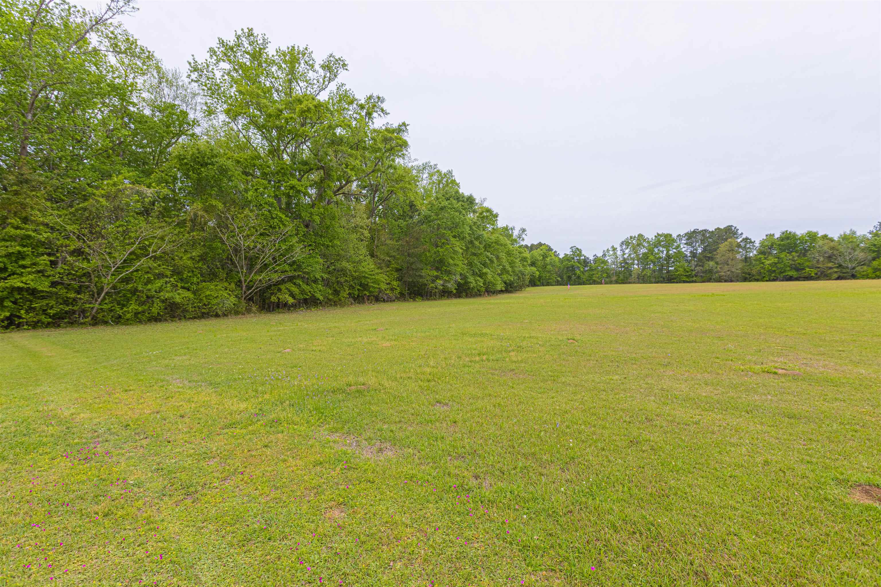 8946 Highmarket Street Georgetown, SC 29440 - Photo 43 of 70