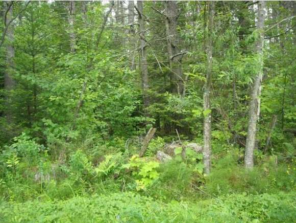 7-a B Talbert Hill Road Canaan, NH 03741 - Photo 2 of 3 Gallery Image 2