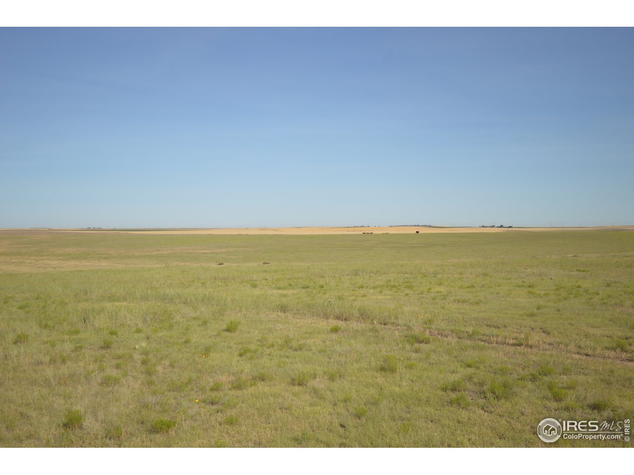 46 County Road Yuma, CO 80759 - Photo 18 of 31 Gallery Image 18