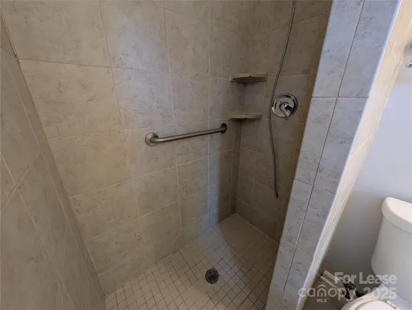 a bathroom with a shower and toilet