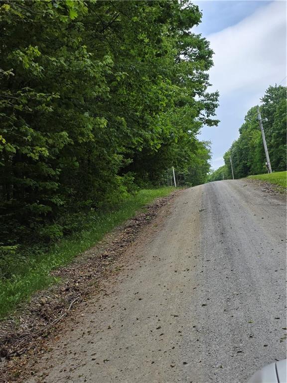 0 Silvis Road Homer City, PA 15748 - Photo 5 of 13
