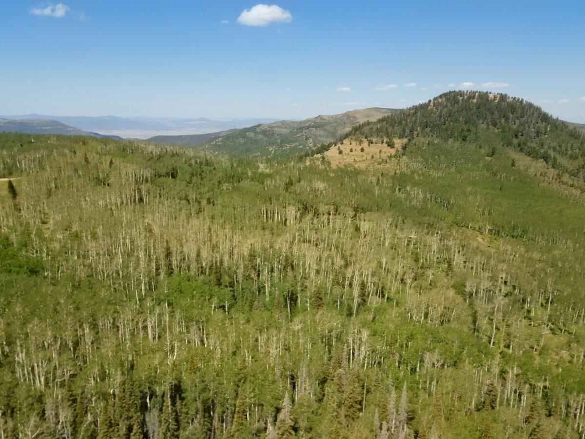 40 Acres Summit Mountain Road Brian Head, UT 84719 - Photo 28 of 32 Aerial6