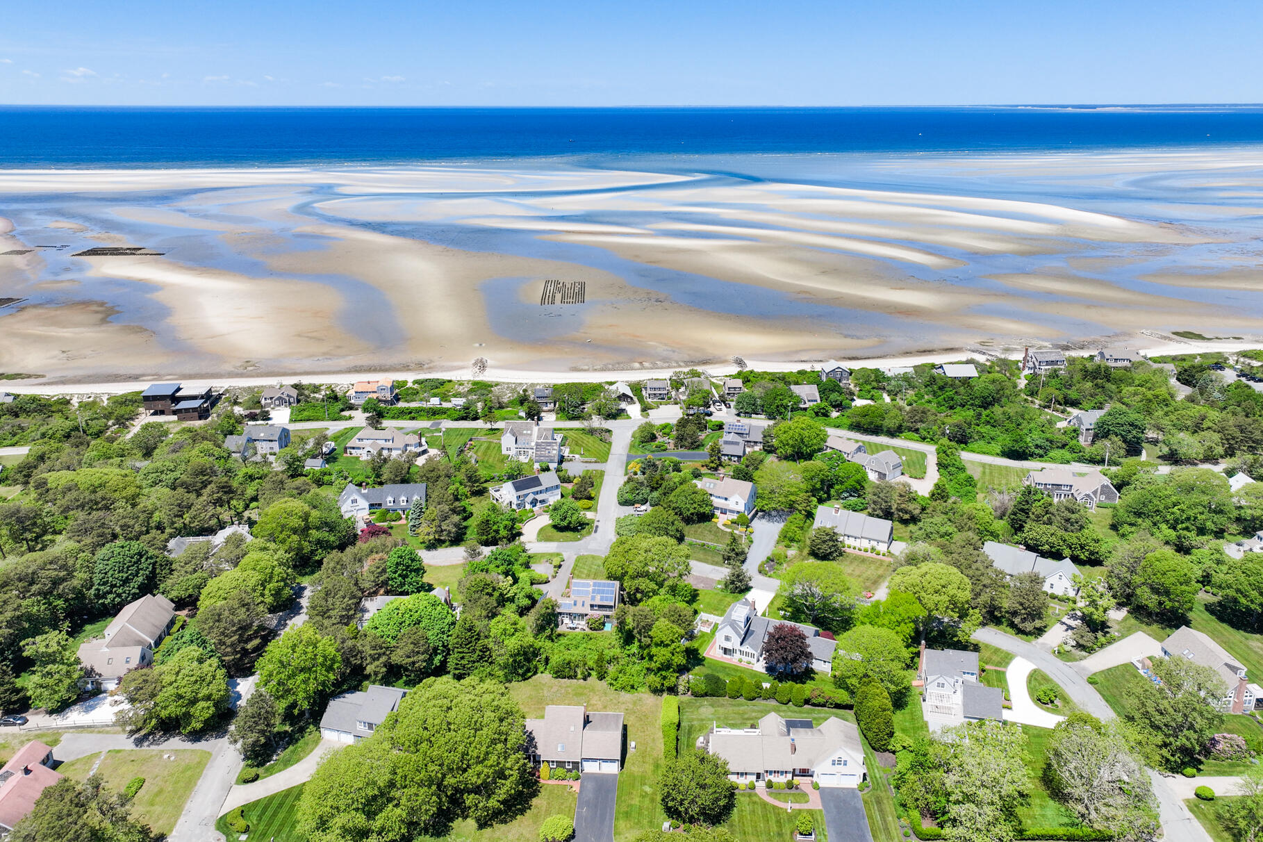 28 Sand Bar Lane Brewster, MA 02631 - Photo 53 of 74 a view of a yard with yellow plants