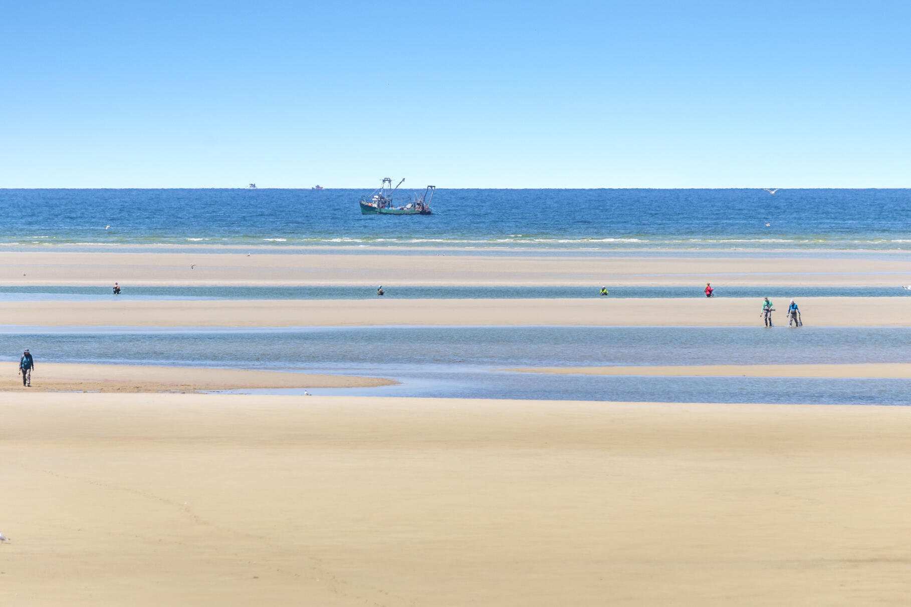 28 Sand Bar Lane Brewster, MA 02631 - Photo 64 of 74 9L4A3583