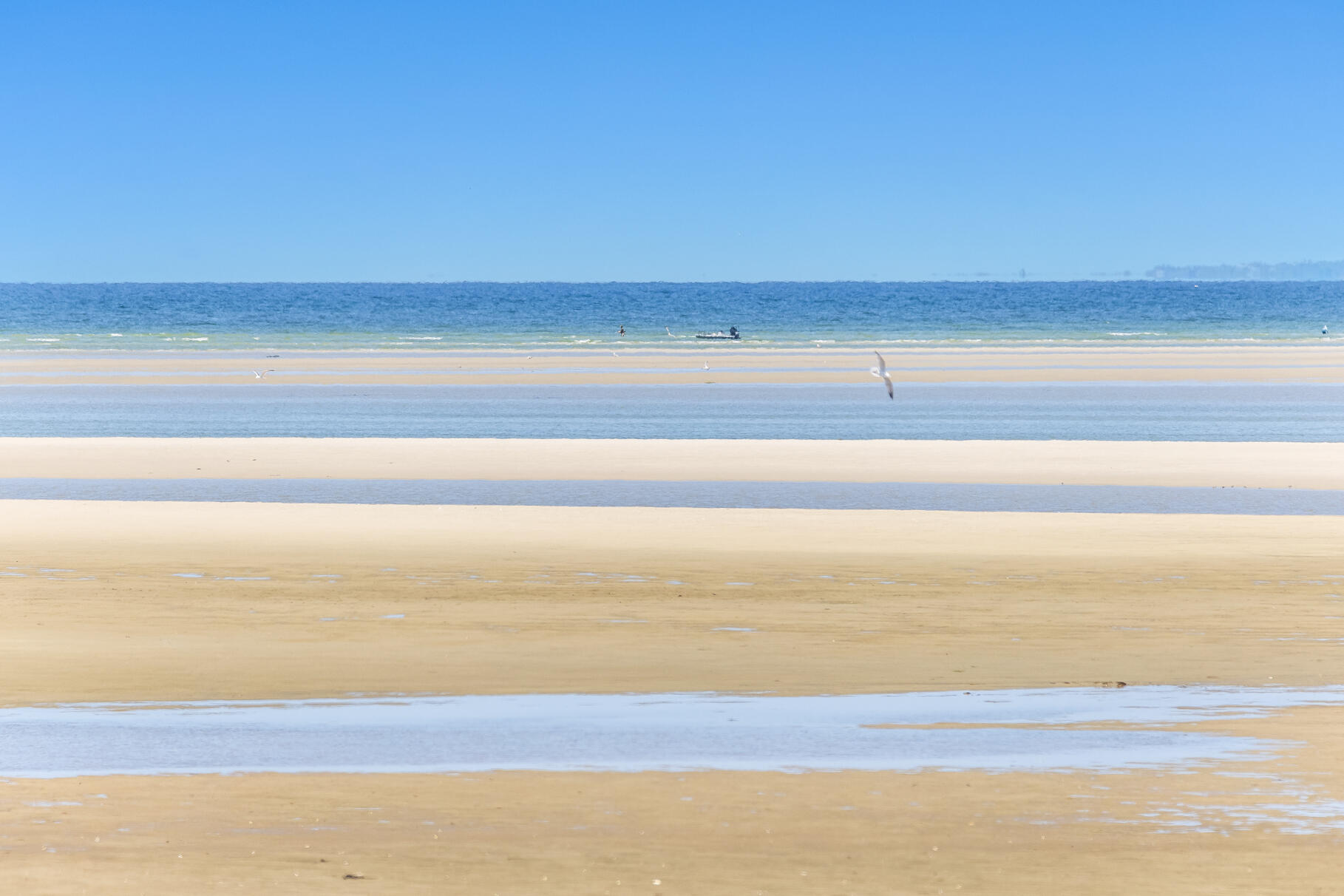 28 Sand Bar Lane Brewster, MA 02631 - Photo 66 of 74 9L4A3585