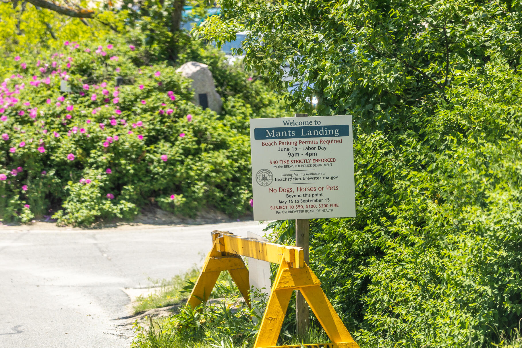 28 Sand Bar Lane Brewster, MA 02631 - Photo 69 of 74 9L4A3593