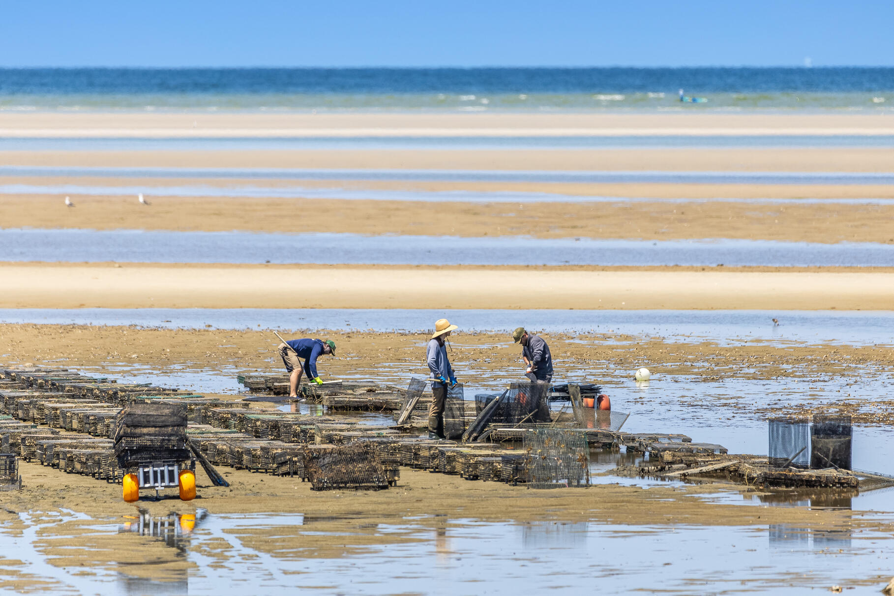 28 Sand Bar Lane Brewster, MA 02631 - Photo 71 of 74 9L4A3597