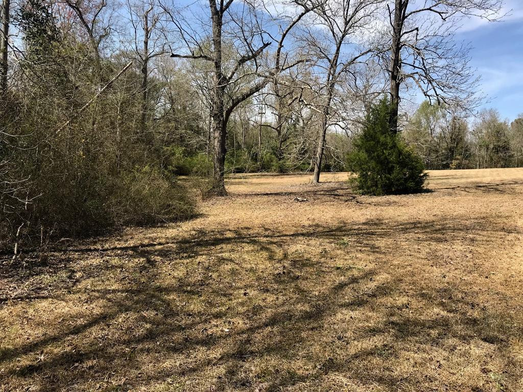 Lot 1 Holiness Church Road Wagener, SC 29164 - Photo 12 of 22