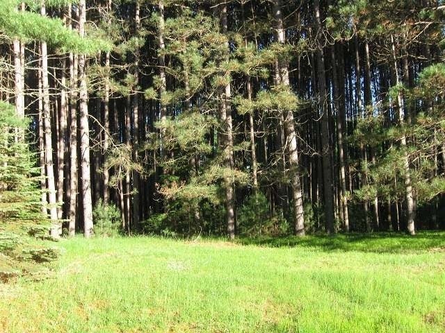 On Camp Bryn Afon Road Rhinelander, WI 54501 - Photo 7 of 9 Gallery Image 7