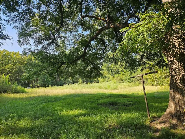 a view of yard with green space