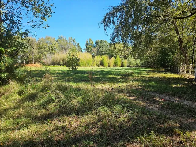 a view of a yard with large trees