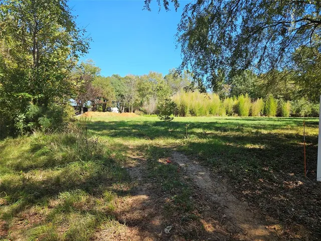 a view of a grassy field with trees