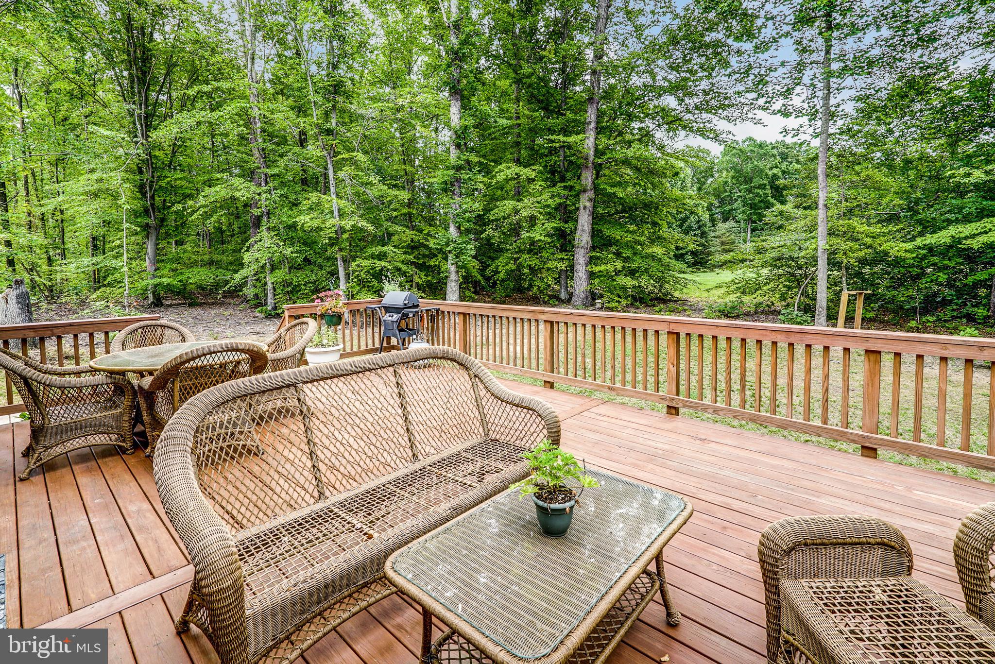 506 Rainbow Ridge Bumpass, VA 23024 - Photo 40 of 50
