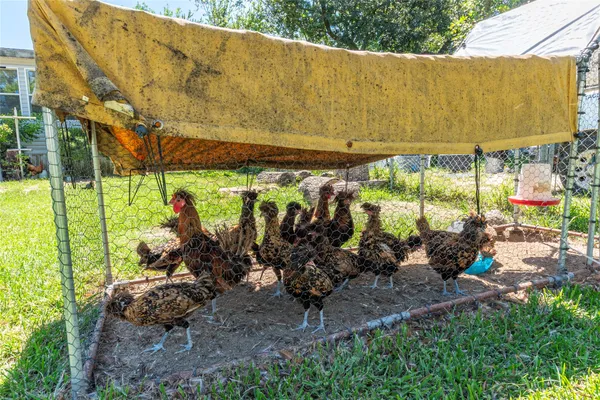 a view of a back yard with a wooden fence