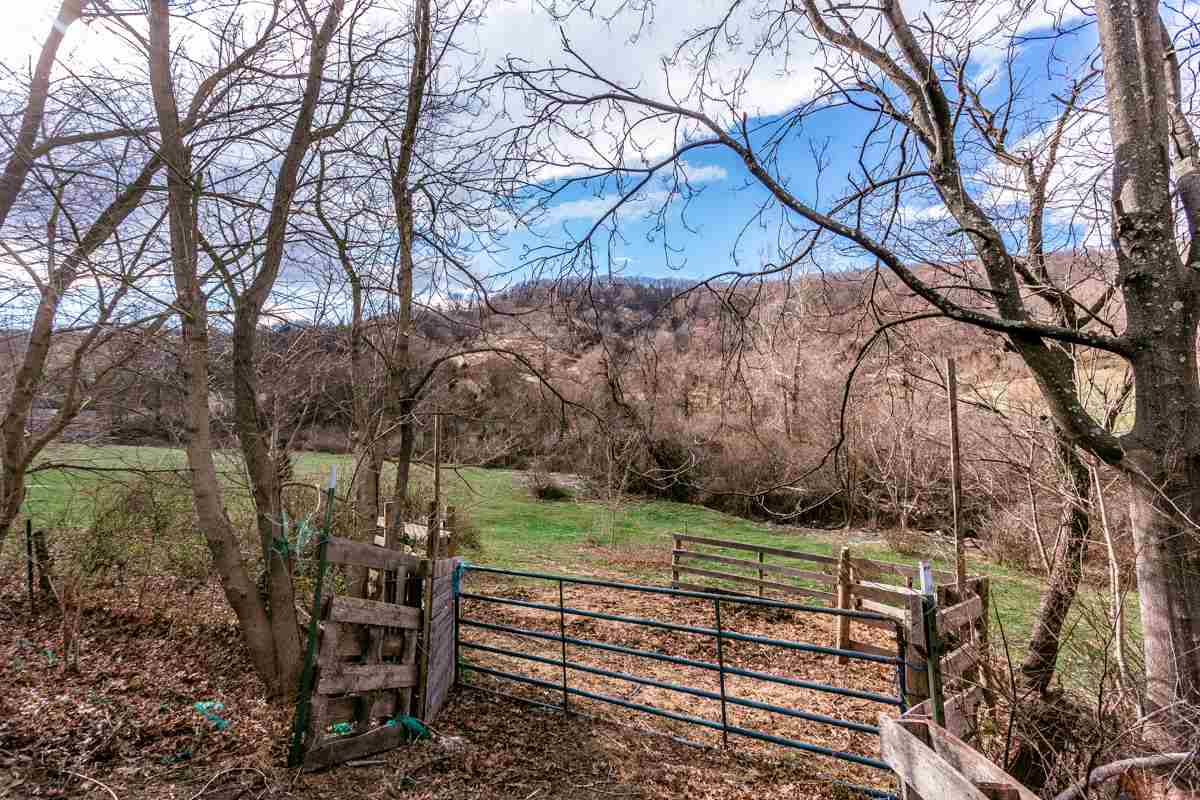 0 Cubbage Hollow Road Stanley, VA 22851 - Photo 8 of 17 Parcel previously used for cattle.