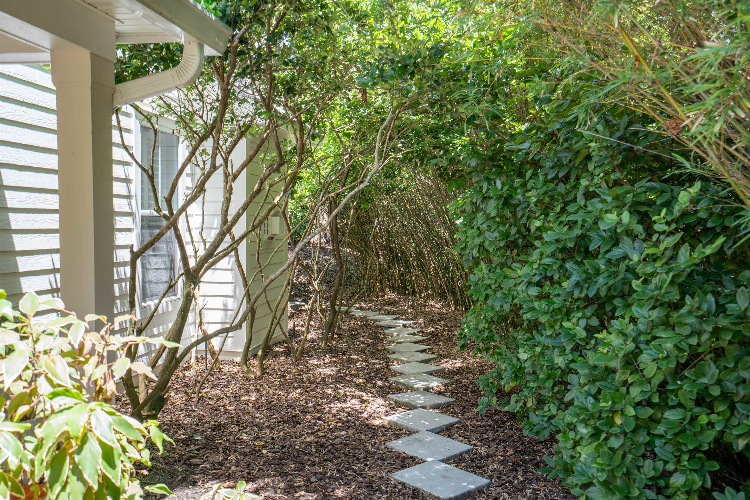 912 Sandy Beach Circle St. Augustine, FL 32080 - Photo 10 of 71 a view of a yard with plants and trees