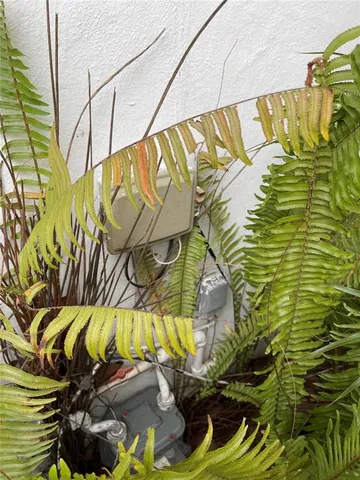 a close up of a plant in a garden