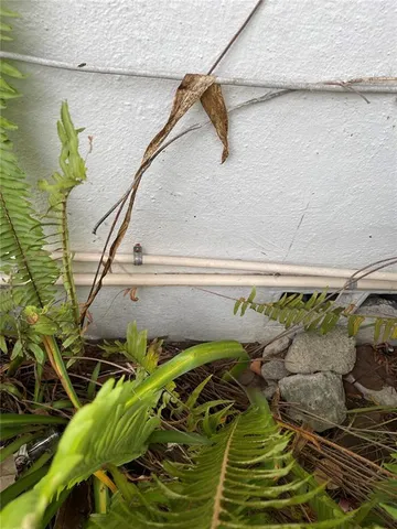 a backyard of a house with a tree