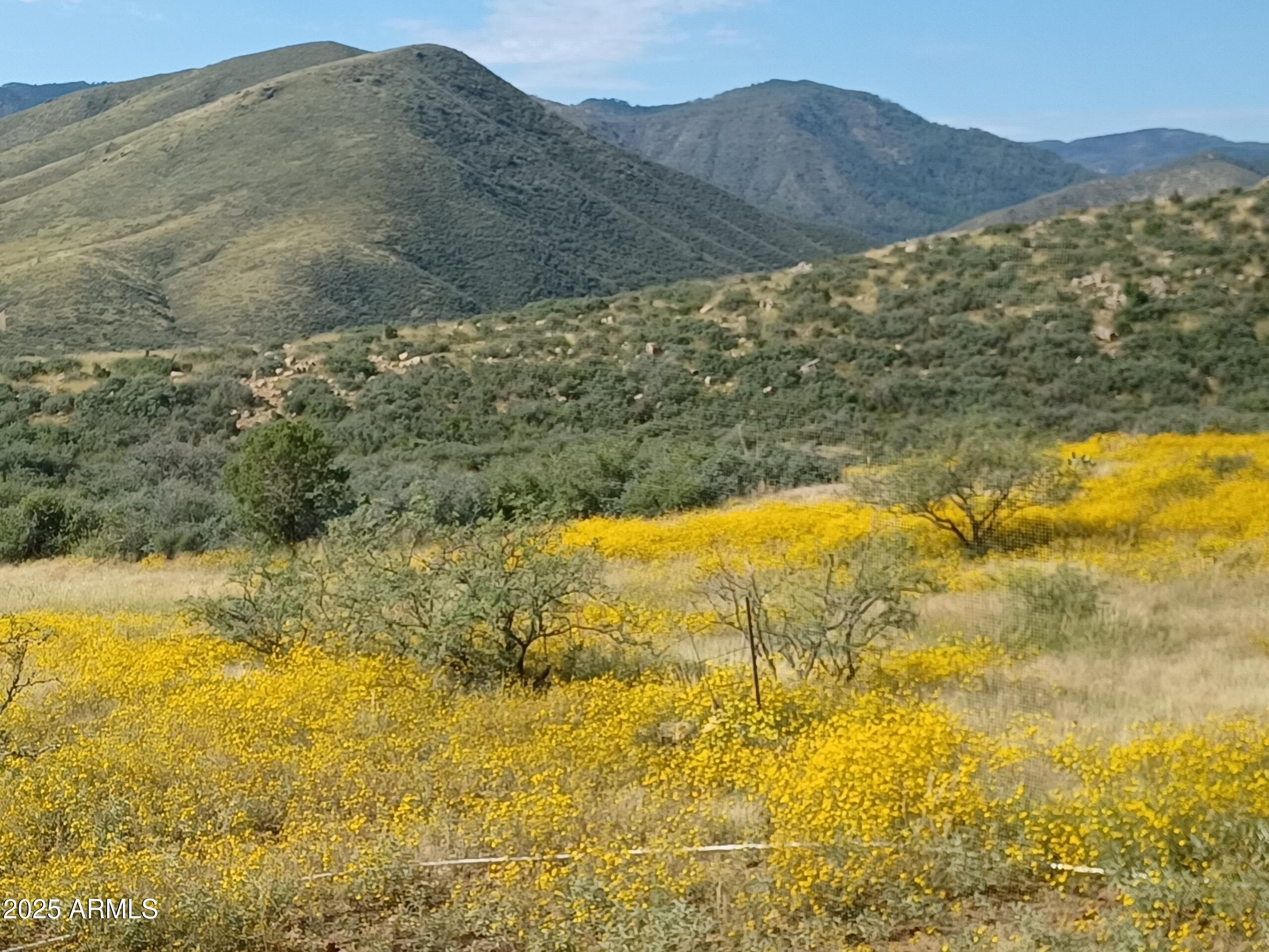 5668 Miners Pick Road Mayer, AZ 86333 - Photo 36 of 39 XKEJ9516