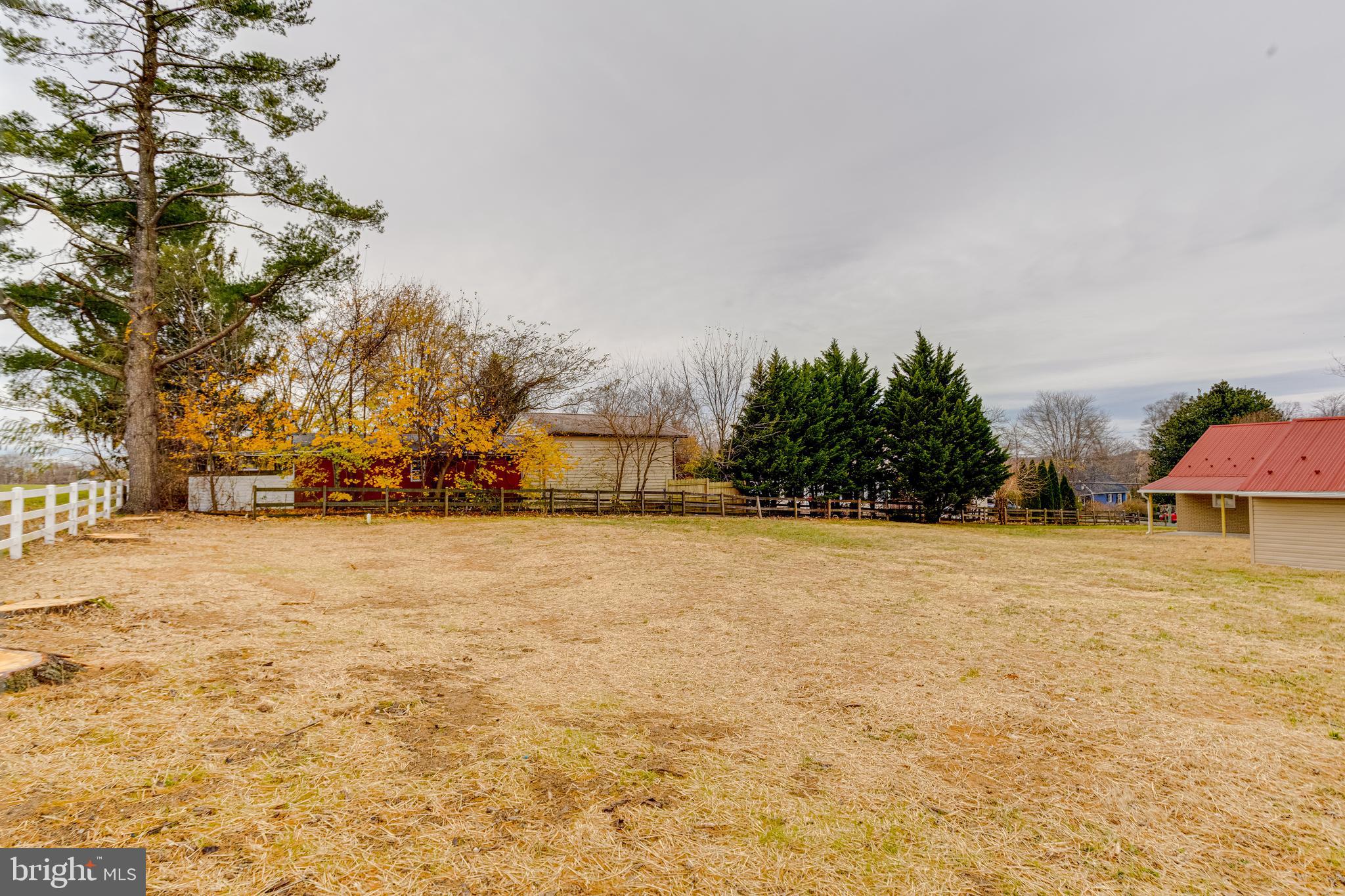 733 Reckord Road Fallston, MD 21047 - Photo 71 of 71 a palm tree sitting in front of a house with a yard
