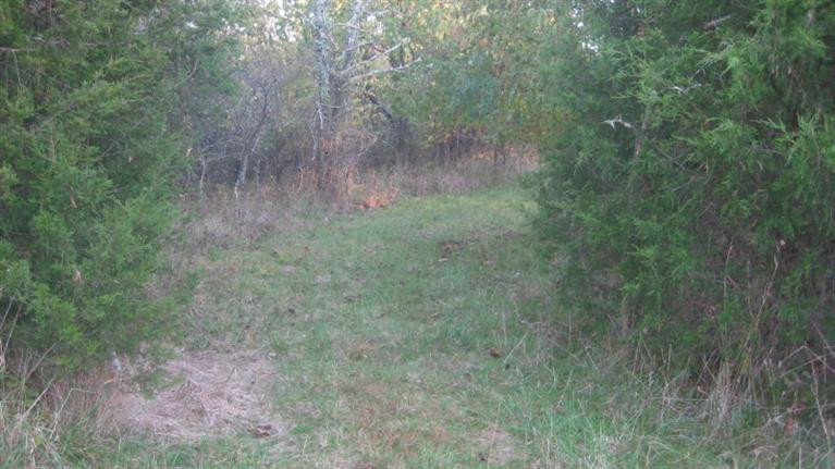 1600 Cullpepper Road Corinth, KY 41010 - Photo 24 of 28 Photo 24