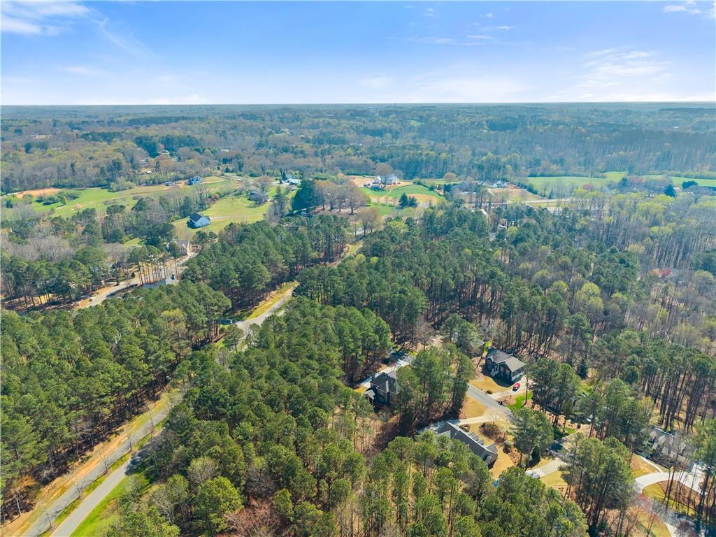 200 Morning Glory Ridge Canton, GA 30115 - Photo 77 of 88