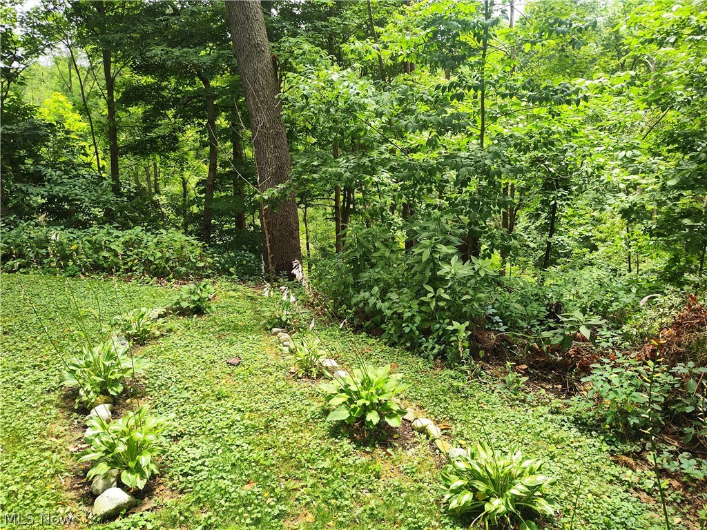 4510 South Ridge Road East Geneva, OH 44041 - Photo 13 of 45