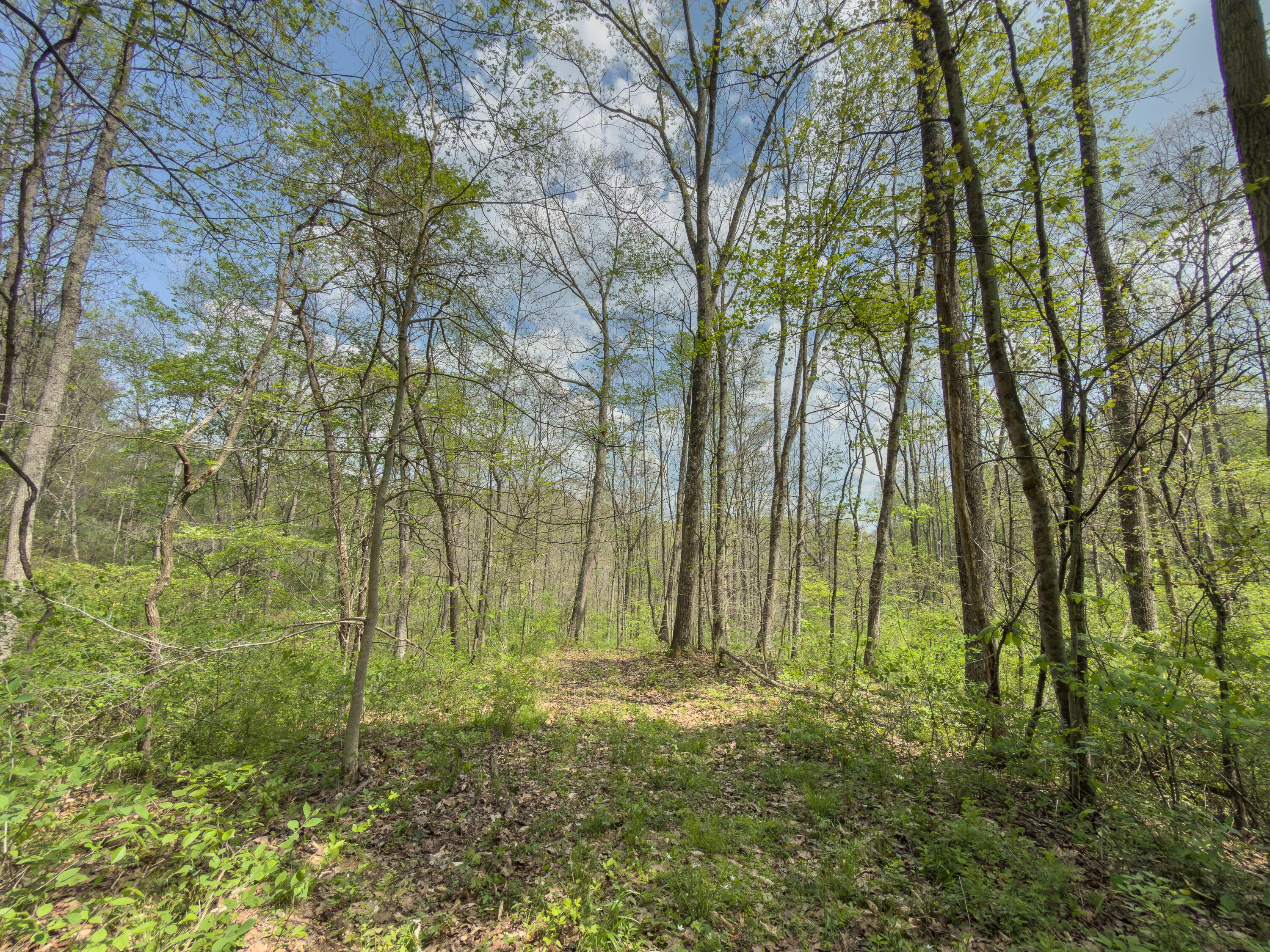 0 Beardmore Road Wingett Run, OH 45789 - Photo 36 of 43 beardmore rd-36