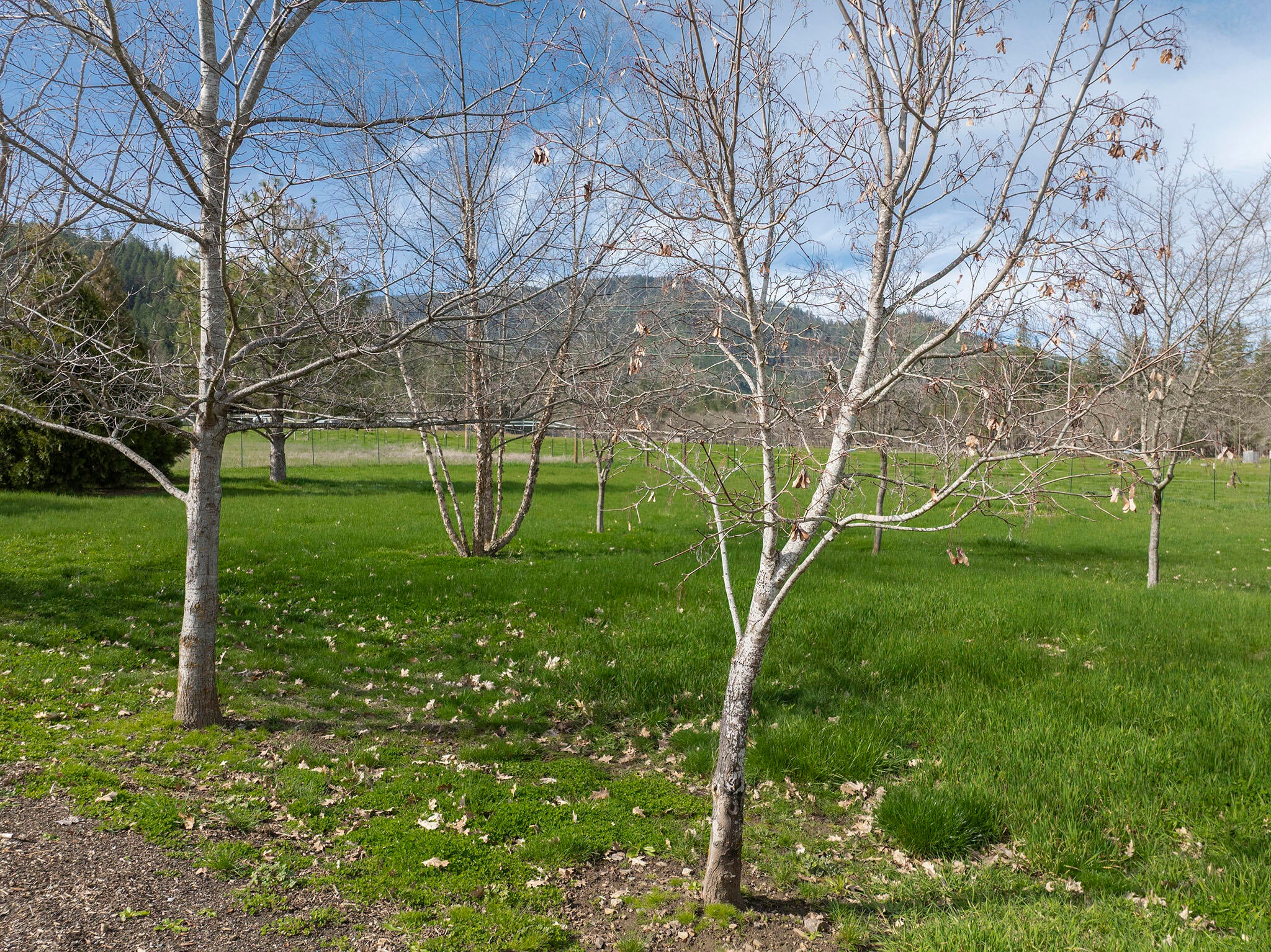 15902 Water Gap Road Williams, OR 97544 - Photo 51 of 67 50
