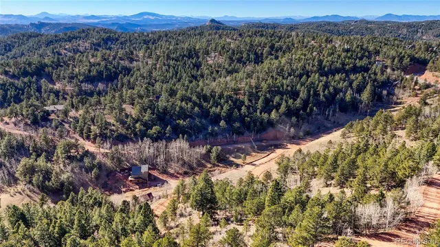 a view of a city with lush green forest