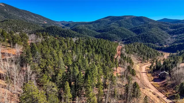a view of mountain and tree