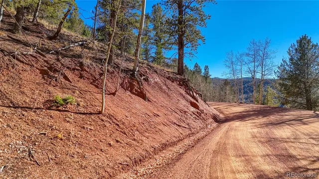 a view of a yard with trees
