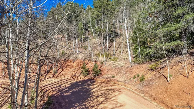 a backyard of a house with large trees