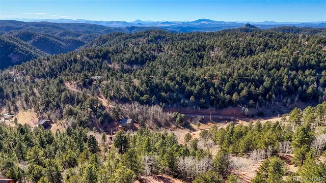 a view of a forest with a mountain