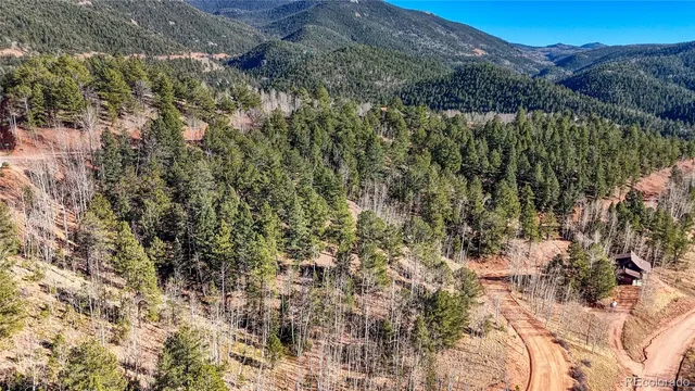 $10,600 | 741 Pikes Peak Drive, Divide, CO 80814