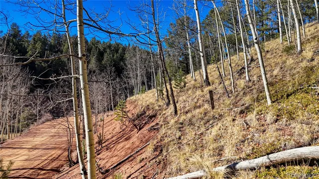 $10,600 | 741 Pikes Peak Drive, Divide, CO 80814