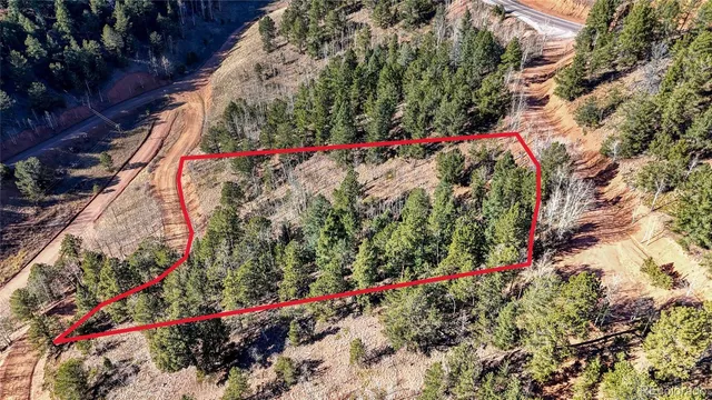 a view of a flower garden with flowers