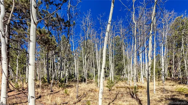 a view of a outdoor space