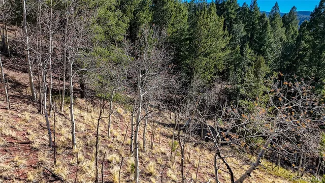 a view of a yard with a tree