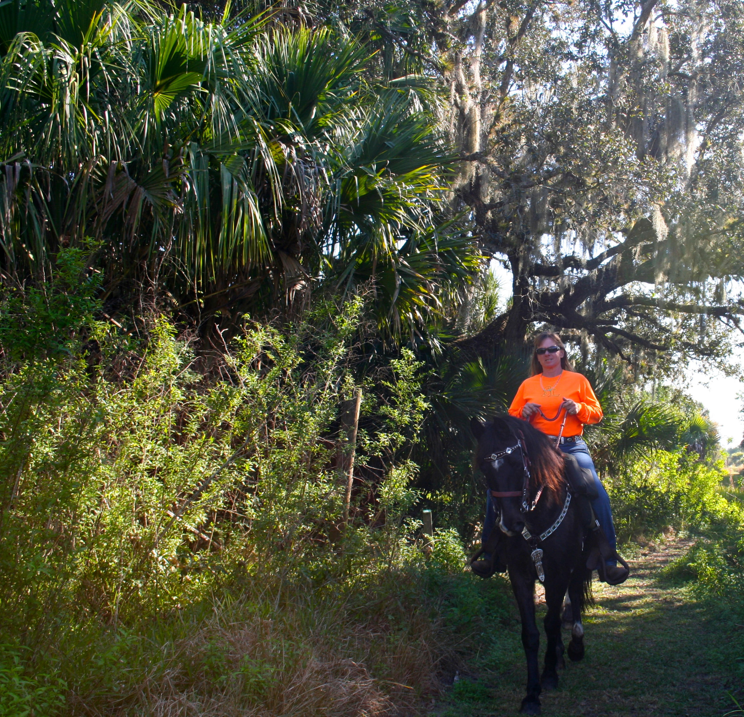 8841 First Tee Road Port St. Lucie, FL 34986 - Photo 147 of 228 121 Horseback Rider At Teague Hammock