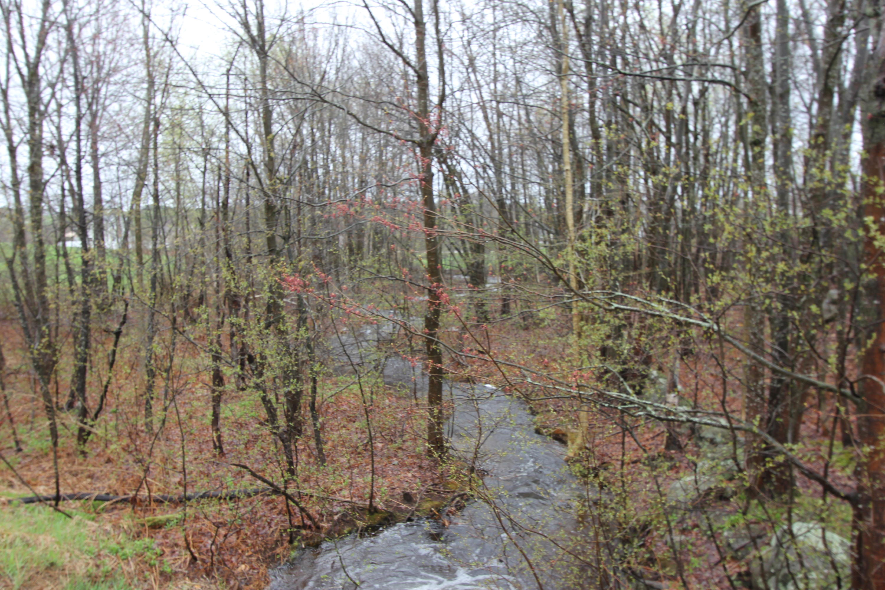 387 Howes Corner Road Turner, ME 04282 - Photo 73 of 81 IMG_1313