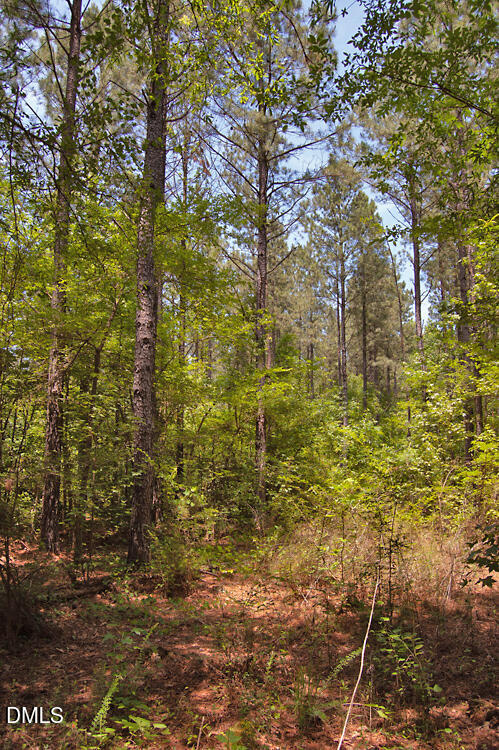M M G F Ball Road Louisburg, NC 27549 - Photo 4 of 10