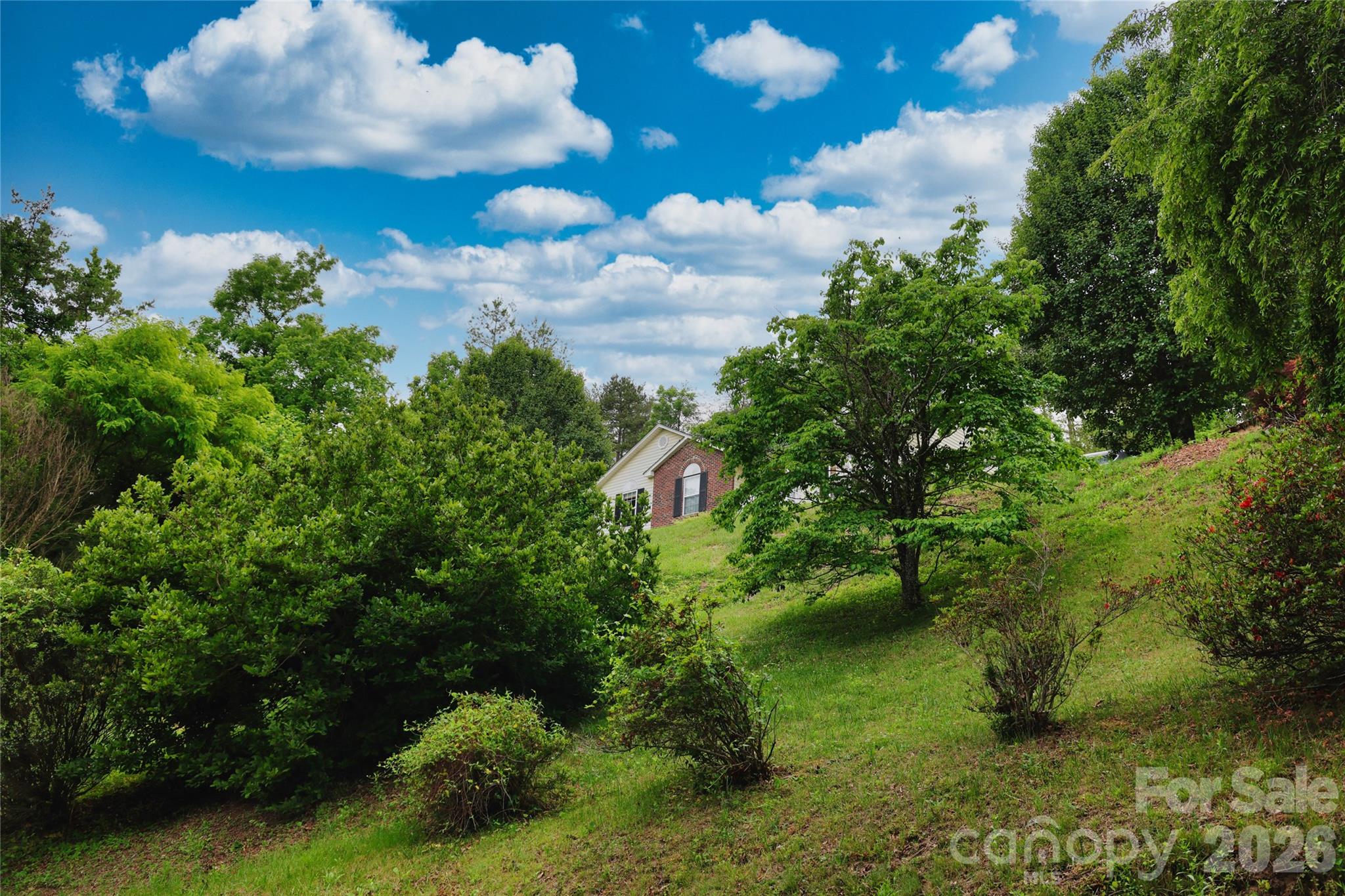 1798 New Stock Road Weaverville, NC 28787 - Photo 25 of 26