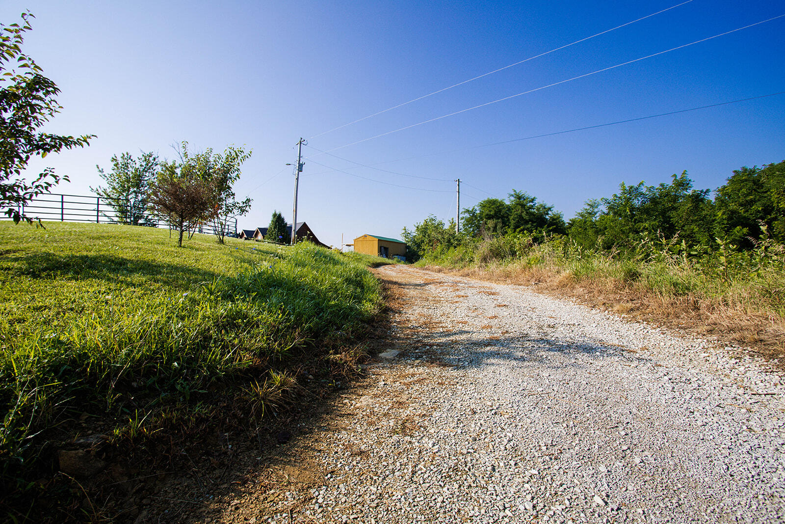1368 Mays Road Lawrenceburg, KY 40342 - Photo 73 of 92 8G1A3896