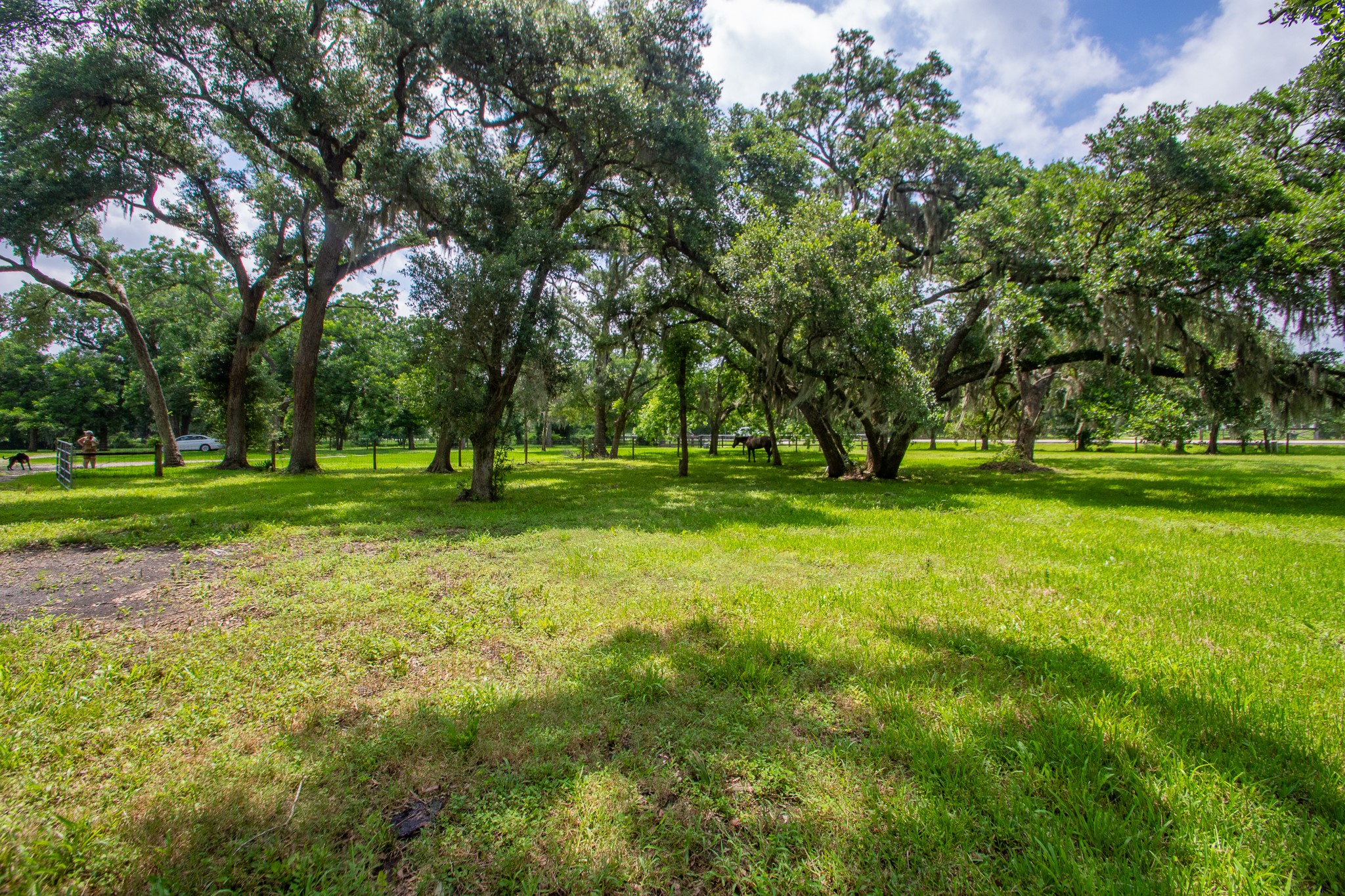 2668 FM 522 Road Brazoria, TX 77422 - Photo 11 of 17