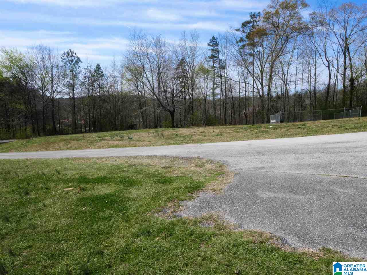 4306 Mudd Street Lincoln, AL 35096 - Photo 29 of 39